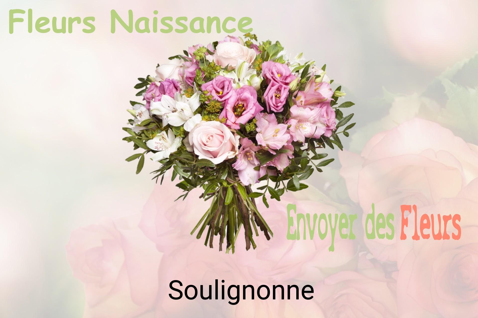 Bouquet de fleurs de naissance livré à Soulignonne